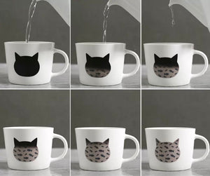 TOMO Changing Decal Cup Cat