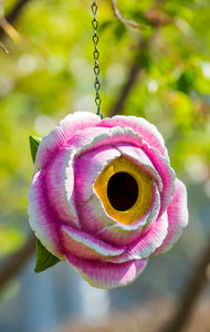 KEW Birdhouse Rose