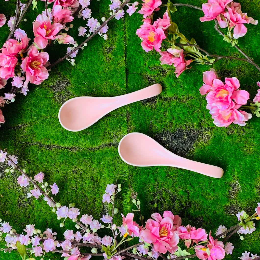 BLUSH Soup Spoons