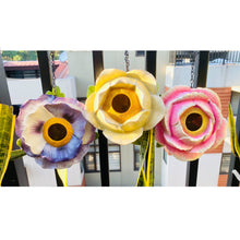 Load image into Gallery viewer, KEW Birdhouse Pansy
