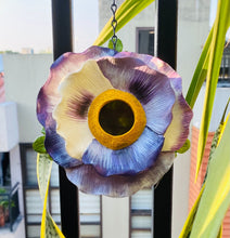 Load image into Gallery viewer, KEW Birdhouse Pansy
