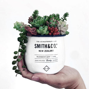 Smith & Co. Winter Violet & Cherry Candle